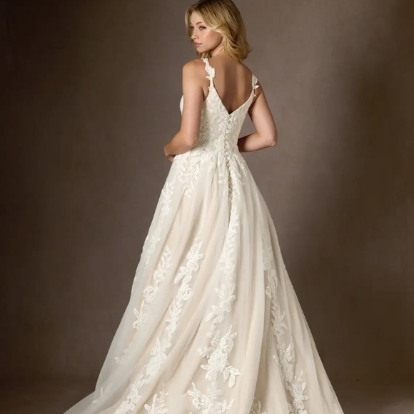 Elegant Lace Wedding Dress - Picture 6 of 9